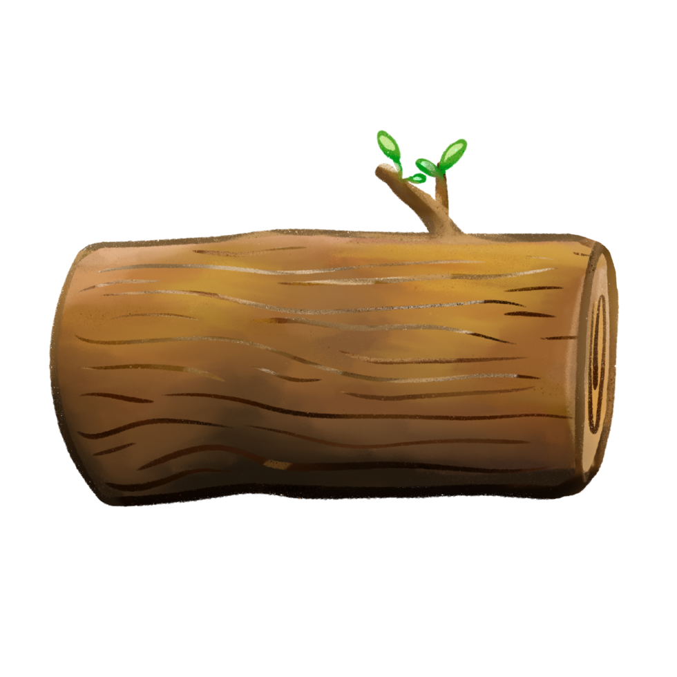 Trunk and wood isolated illustration png