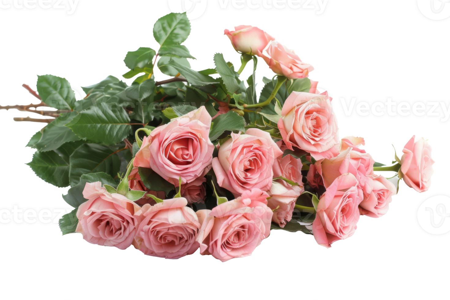 Vibrant Bouquet of Colorful Roses png