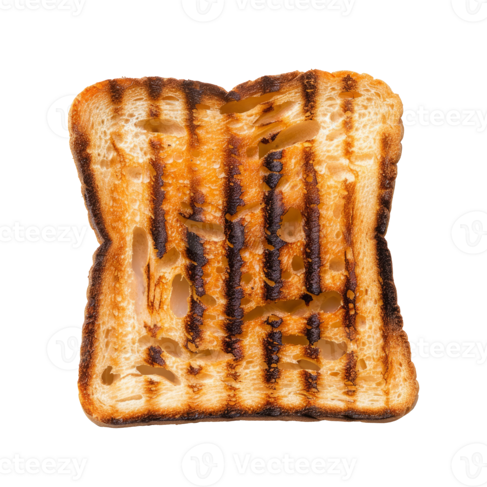 Charred toasted bread with grilled marks png