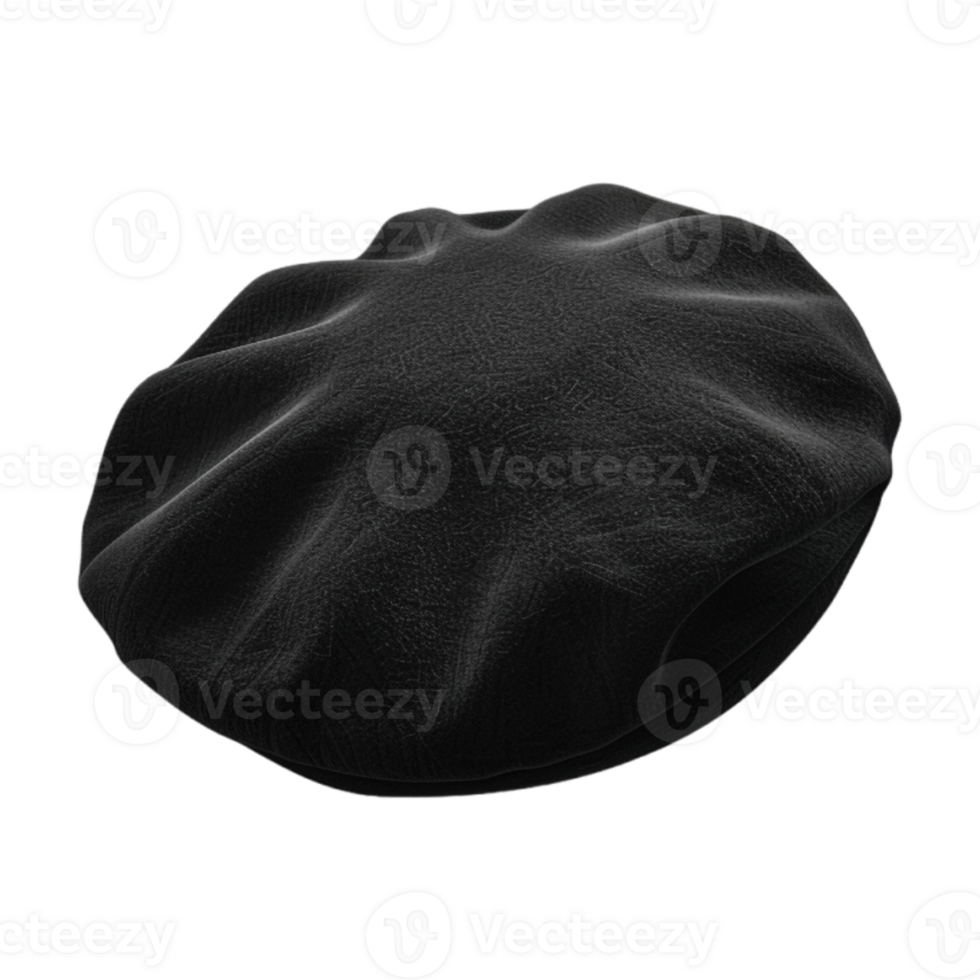 Beret Hat on Transparent Background png