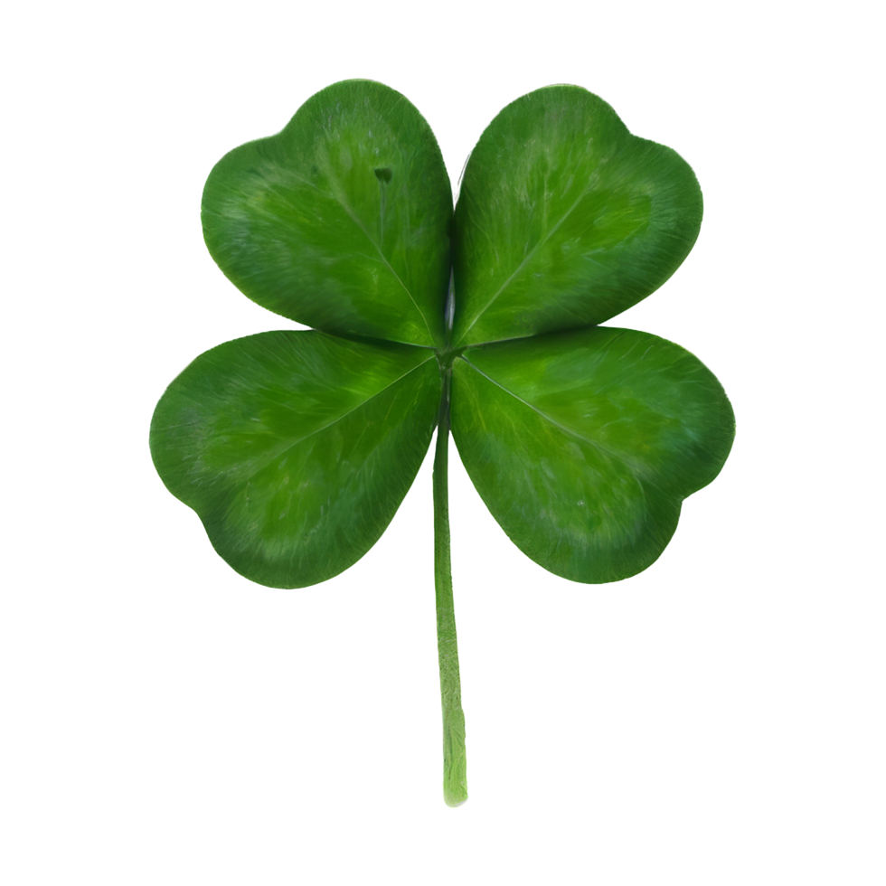 lucky green clover and shamrock isolated on transparent background png