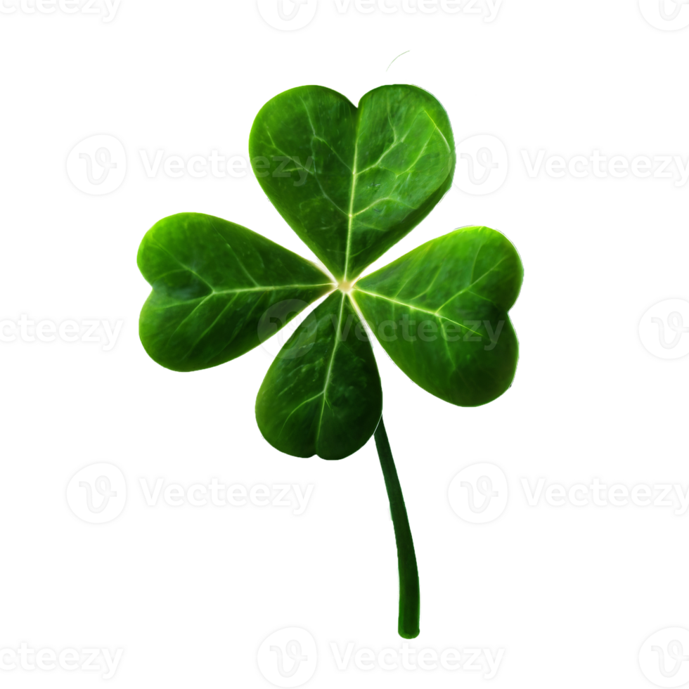 lucky green clover and shamrock isolated on transparent background png