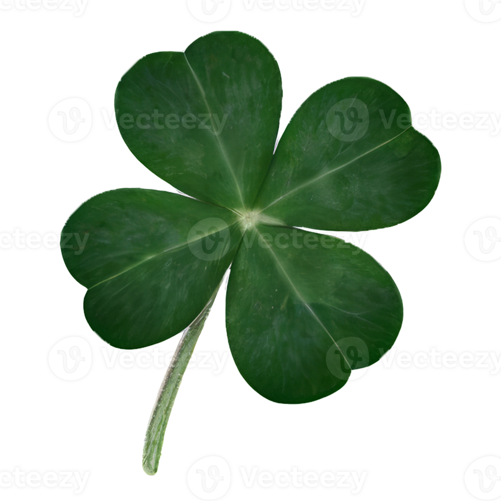 lucky green clover and shamrock isolated on transparent background png