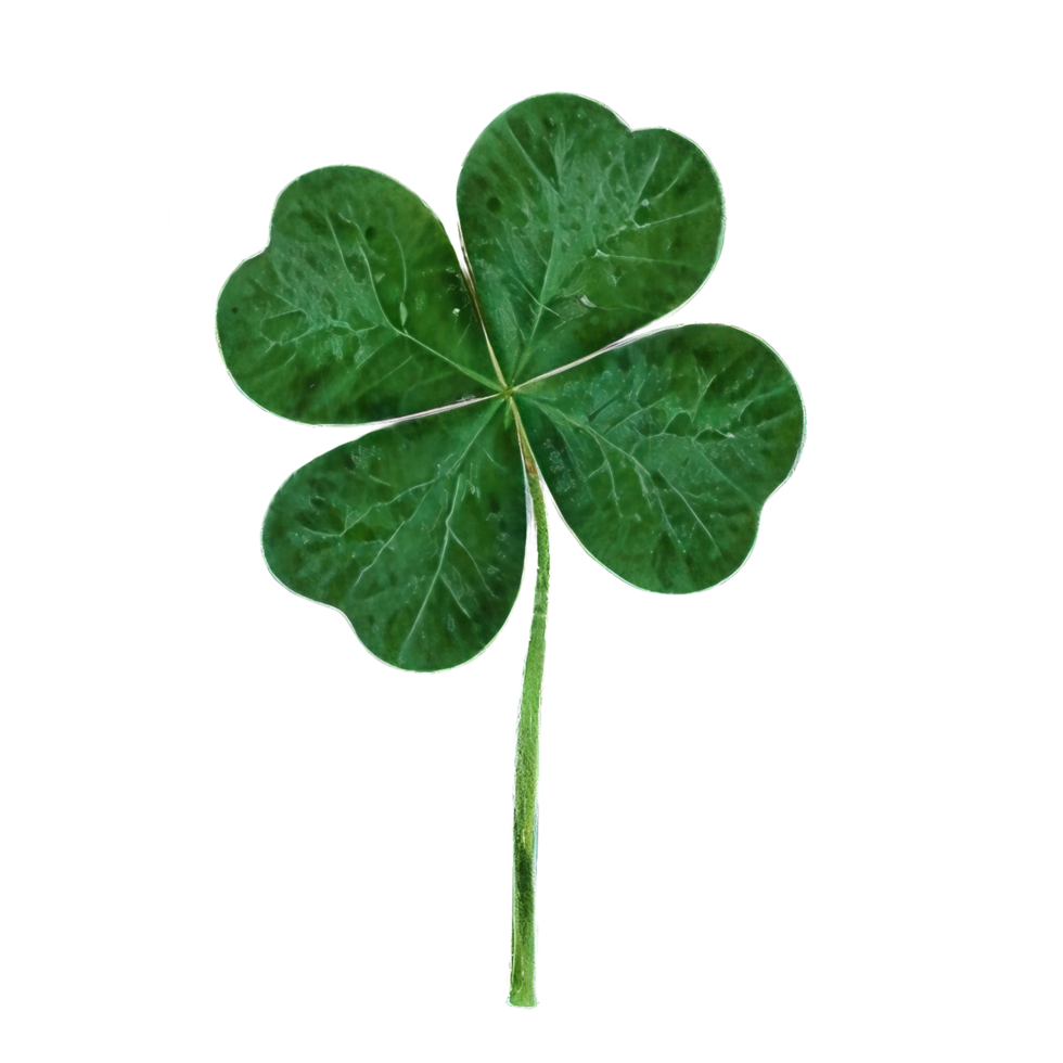 lucky green clover and shamrock isolated on transparent background png