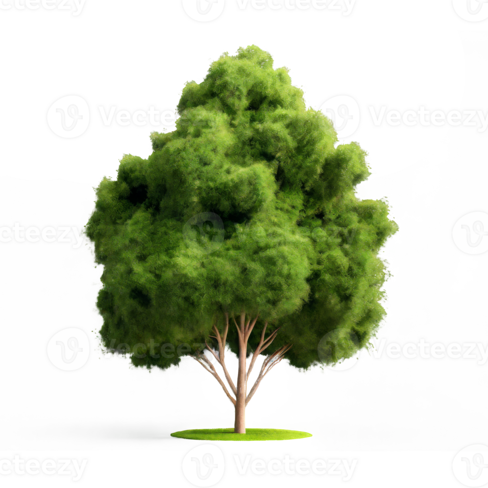 3d illustration of Poa labillardier bush isolated on transparent background png