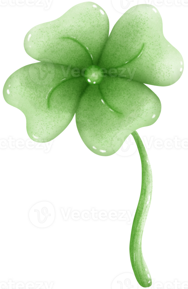 Lucky leaves made from natural clover png