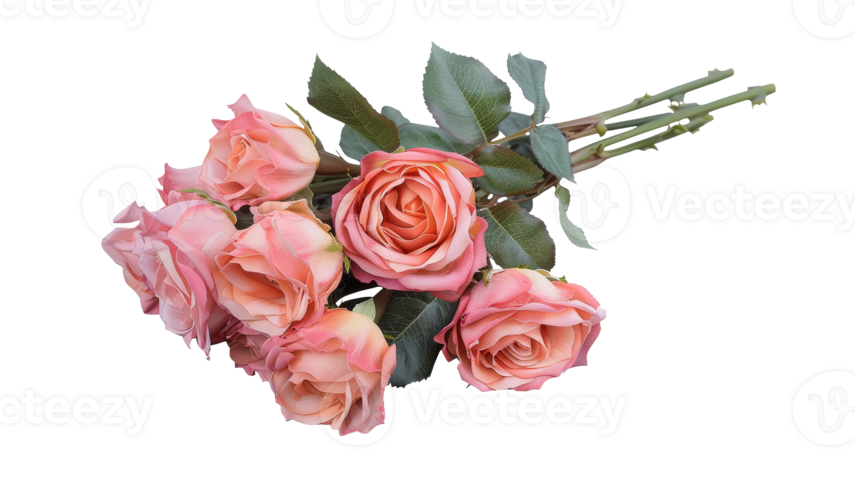 Bunch of Rose, Isolate on the transparent background, Format png