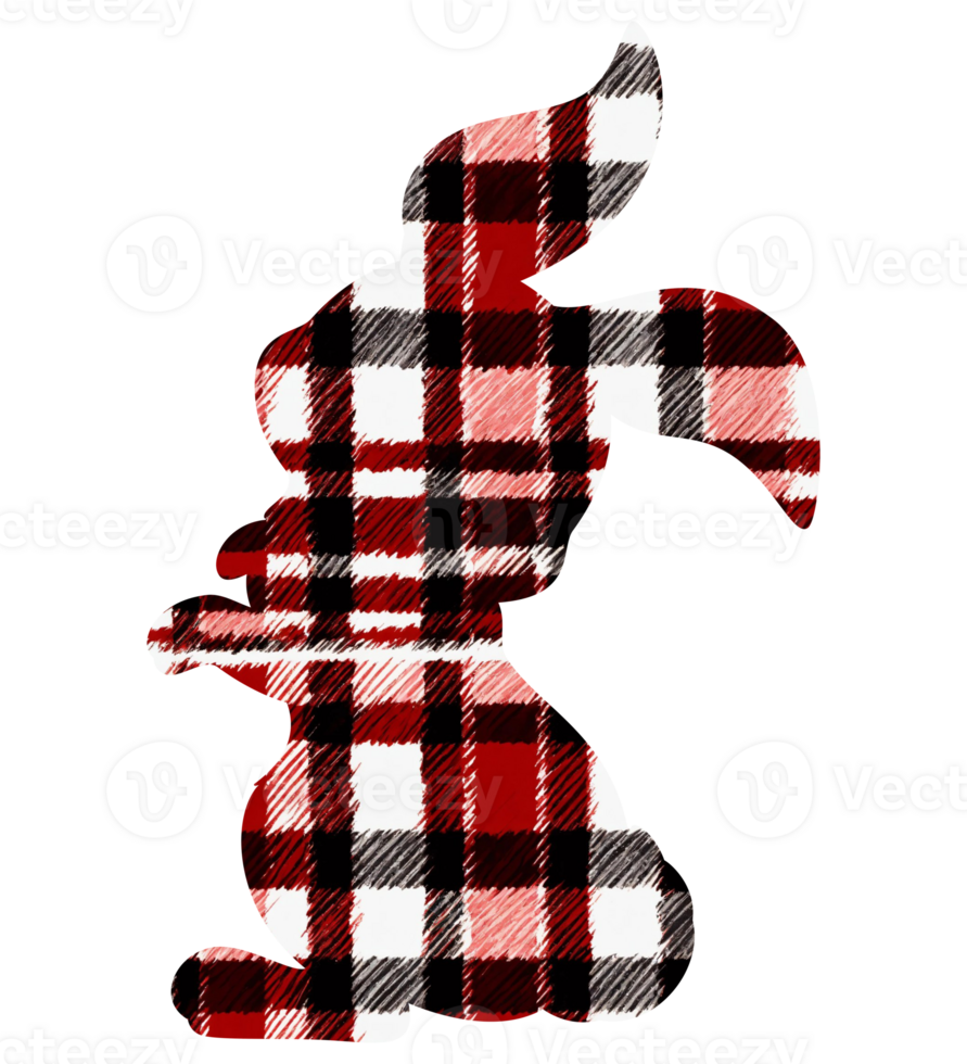 Easter bunny shirt pattern png