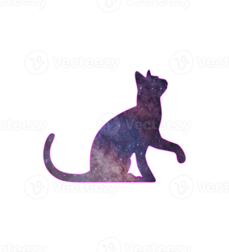 space cat illustration png