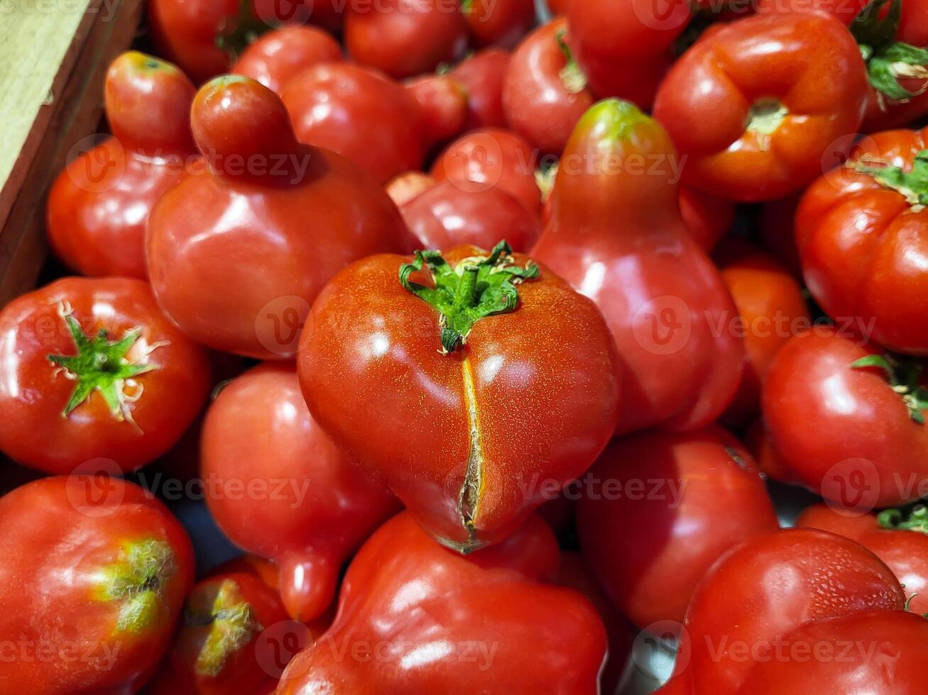 Big red shiny tomatoes on the store shelf. photo