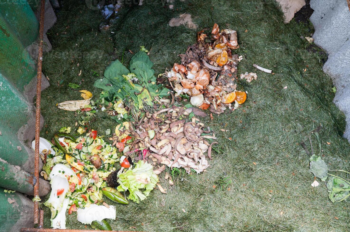 Processing of organic waste, compost preparation photo