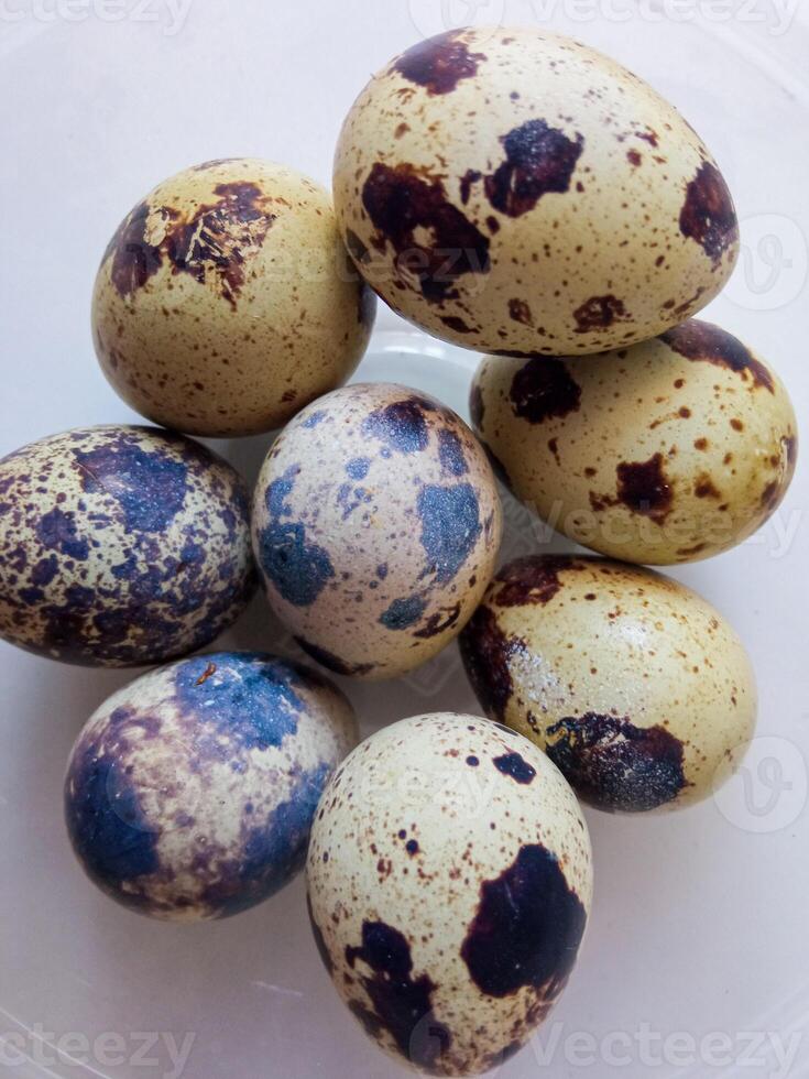 Quail eggs source of protein isolate on white photo