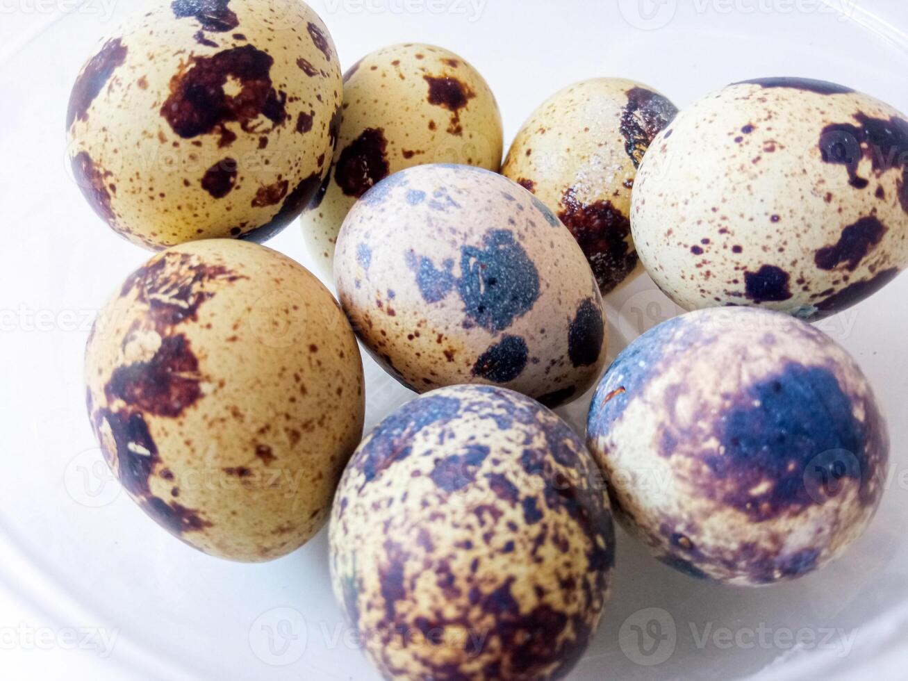 Quail eggs source of protein isolate on white photo