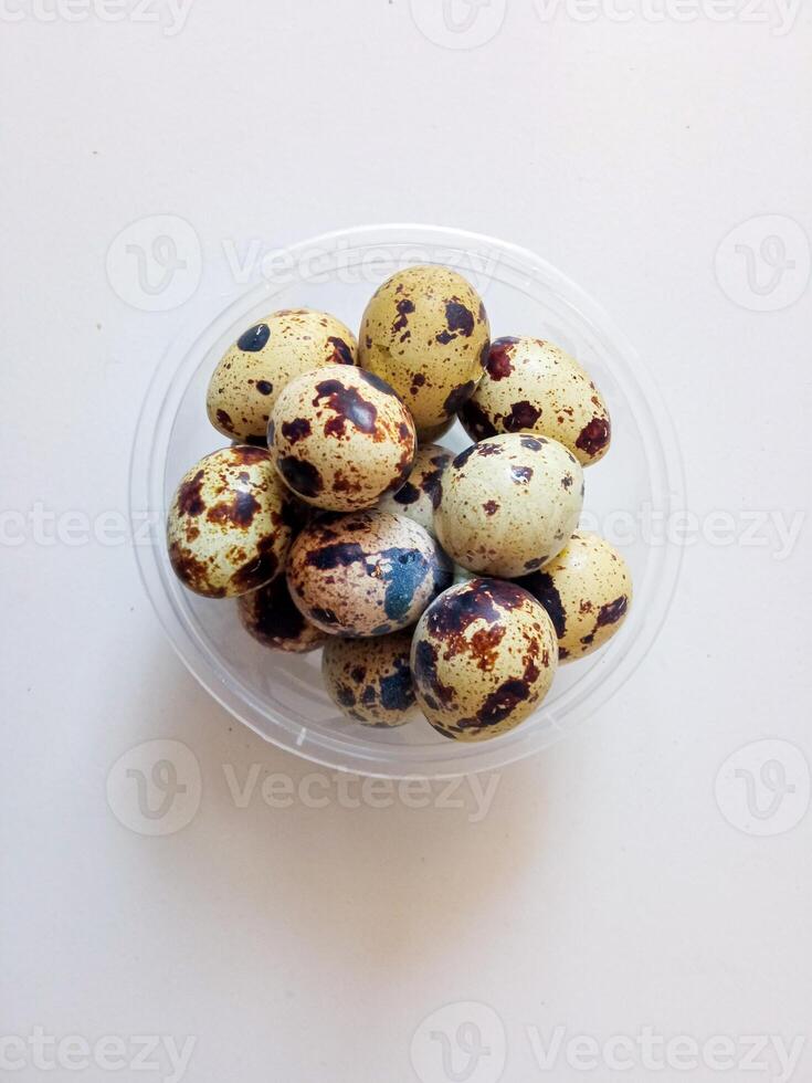 Quail eggs source of protein isolate on white photo