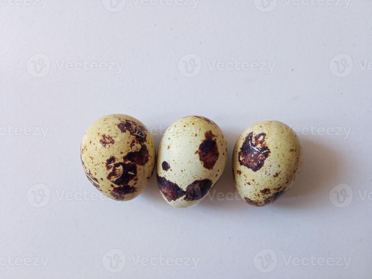 Quail eggs source of protein isolate on white photo