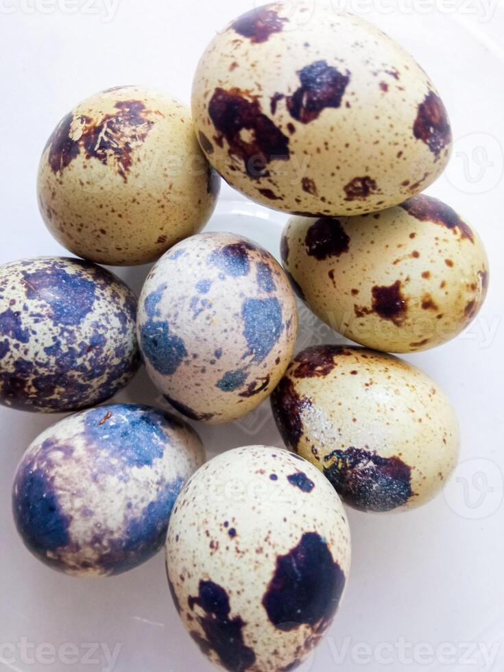 Quail eggs source of protein isolate on white photo