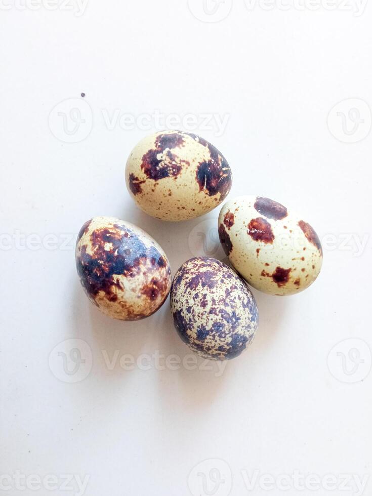 Quail eggs source of protein isolate on white photo