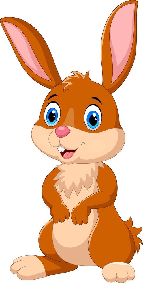 Cartoon cute rabbit isolated on white background vector