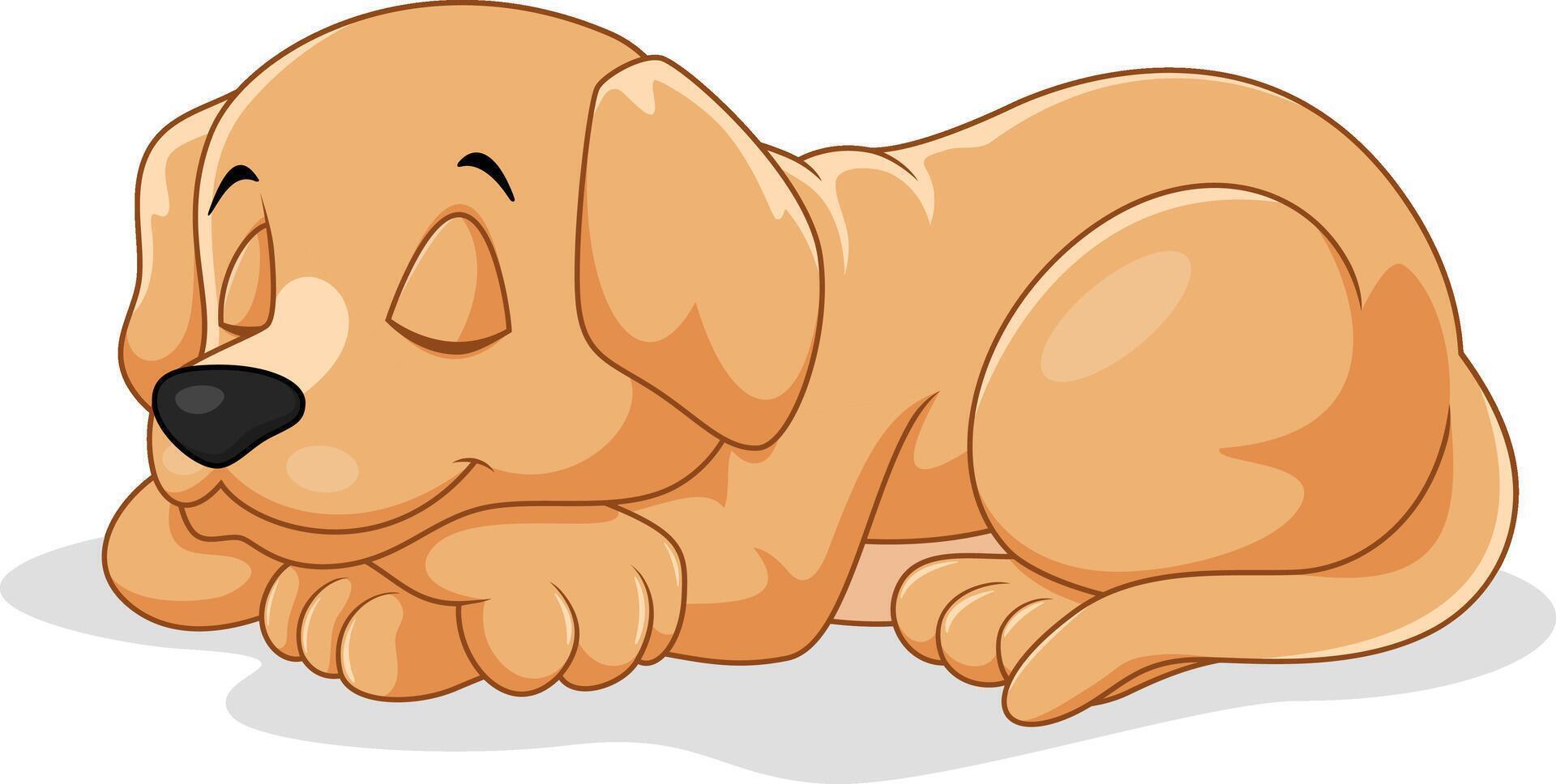 Cute little puppy sleeping isolated on white background vector