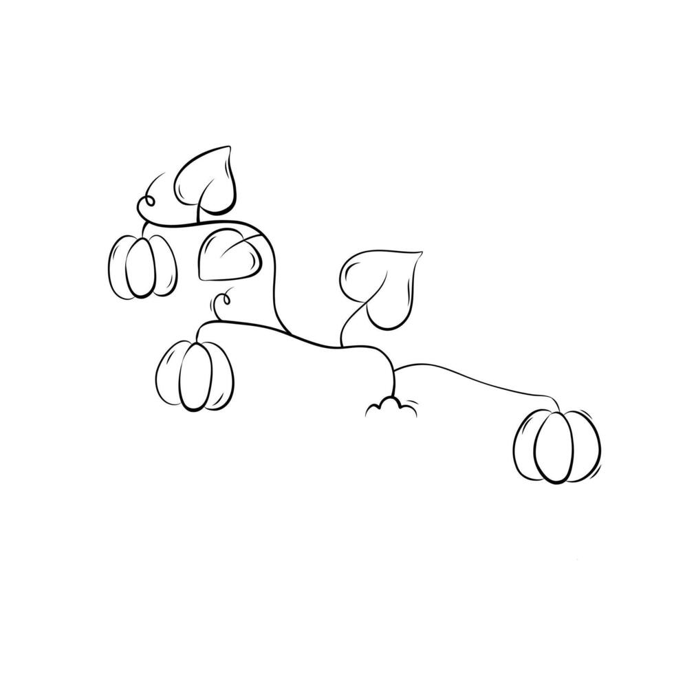 Sketch of a pumpkin plant. Simple illustration in doodle style vector