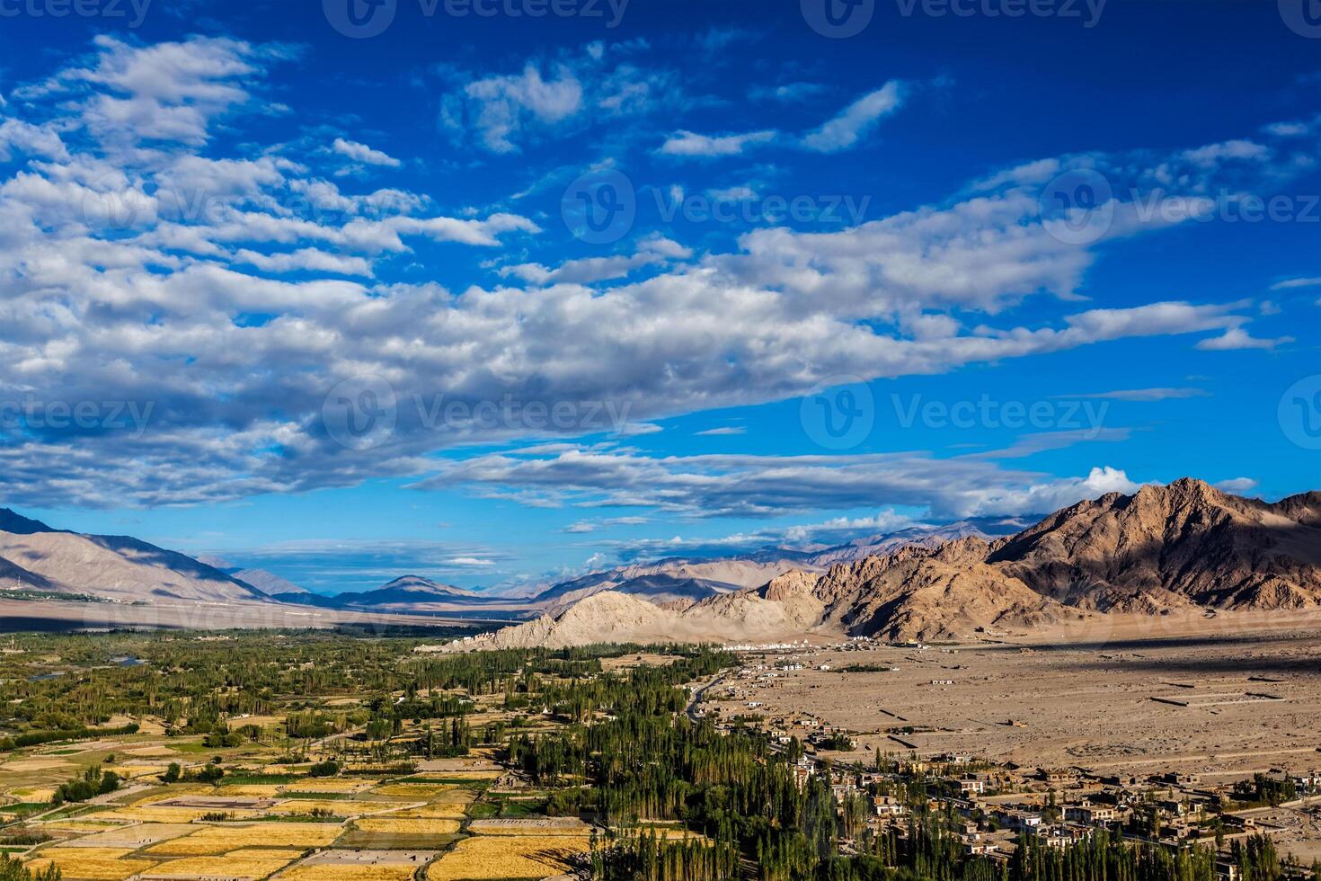 Panorama of Indus valley. Ladakh, India photo