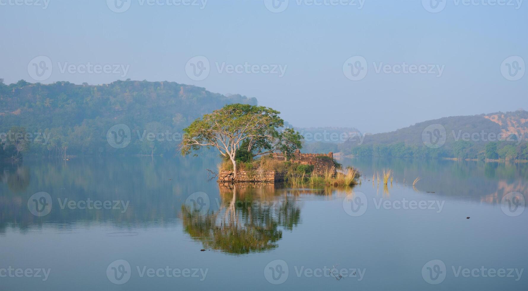 Serene morning on lake Padma Talao in. Ranthambore National Park, Rajasthan, India photo