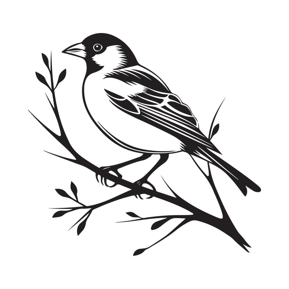 Sparrow bird on a tree branch. Black and white ink illustration. Stock Illustration vector