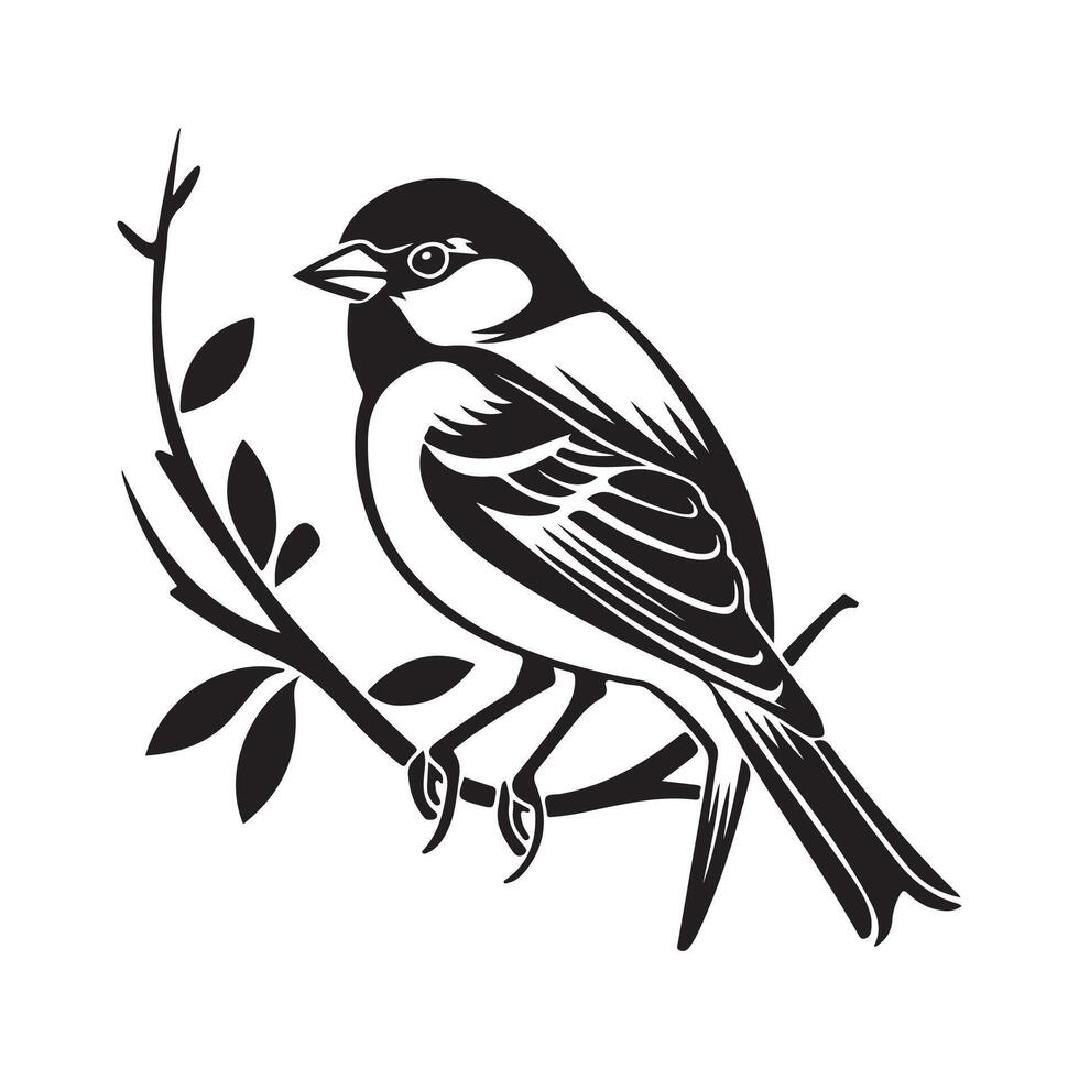 Sparrow nature bird Stock Images isolated on white background vector