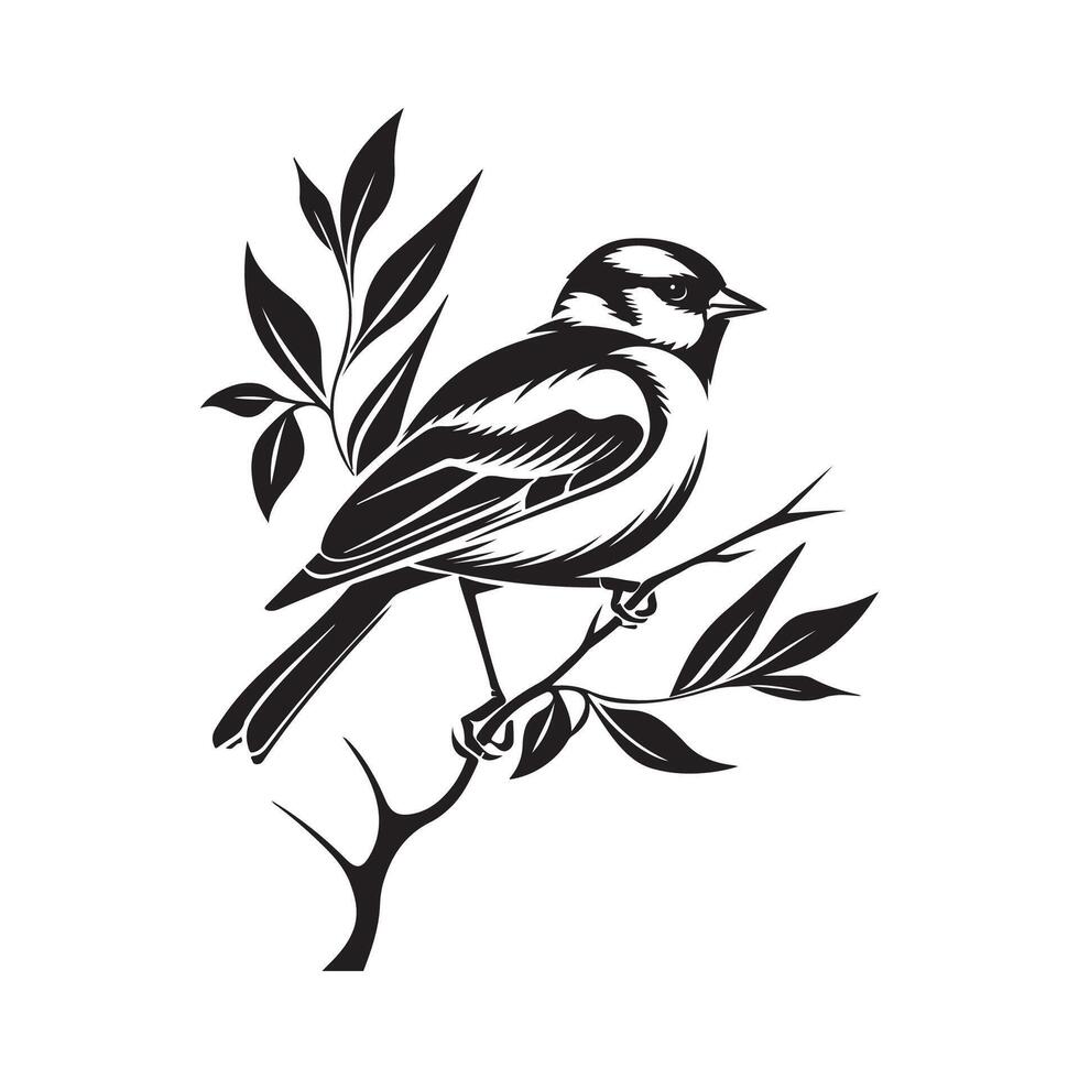 Sparrow bird on a tree branch. Black and white ink illustration. Stock Illustration vector