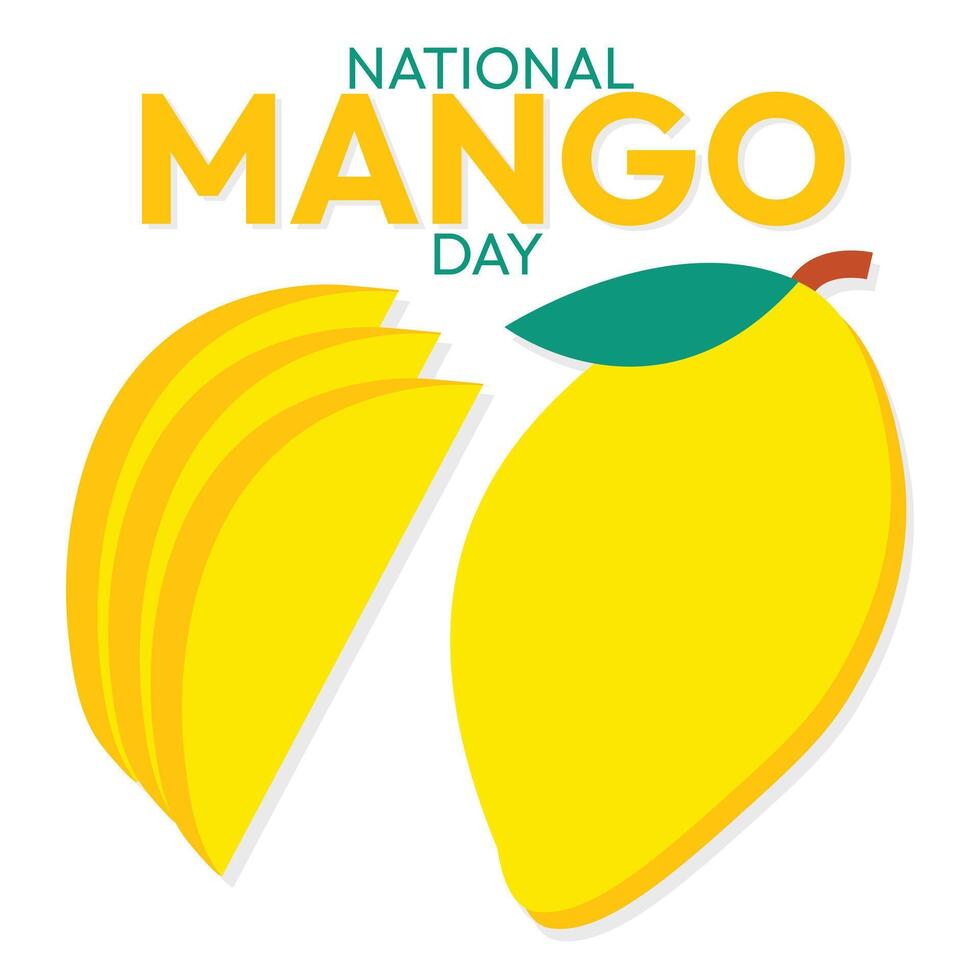 National mango day illustration, mango fruit mango day on white background. vector