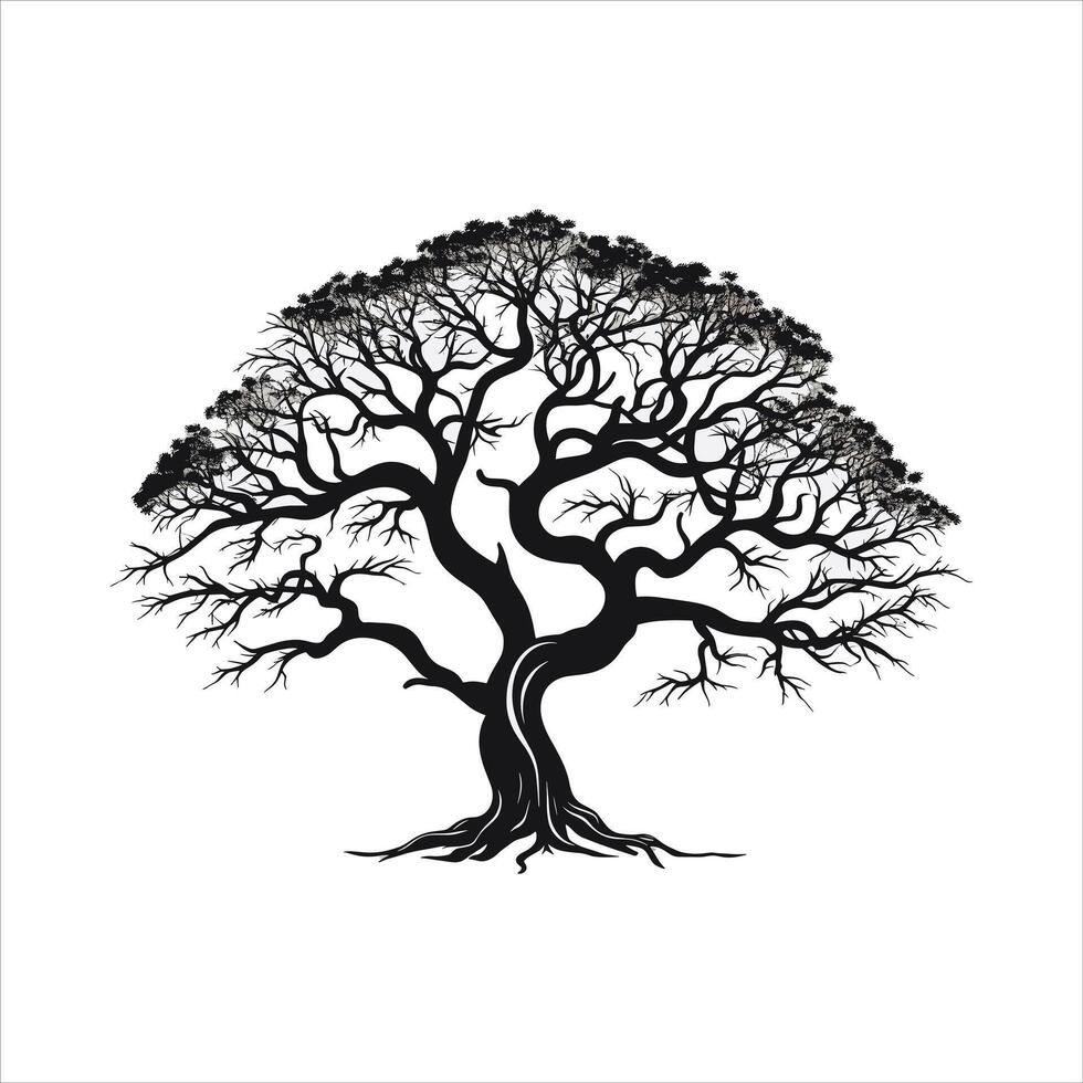 silhouette of big tree in summer on isolated white background Pro vector