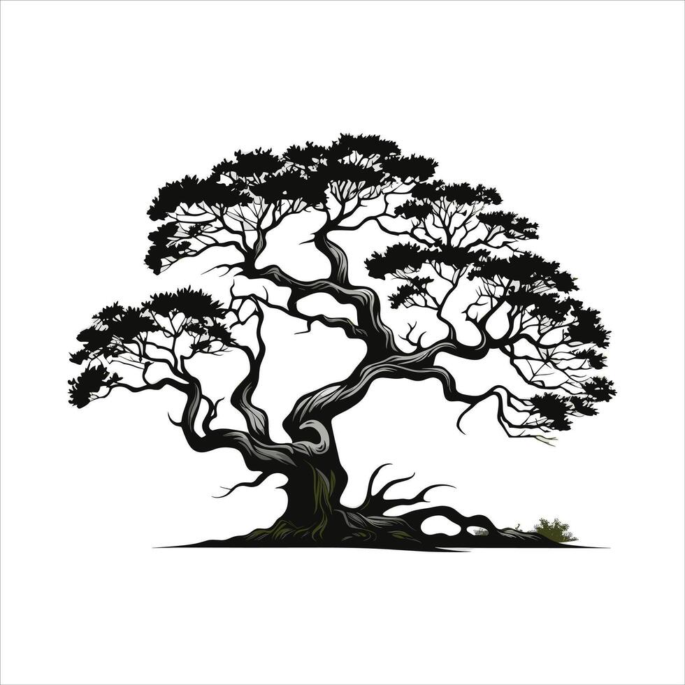 silhouette of big tree in summer on isolated white background Pro vector