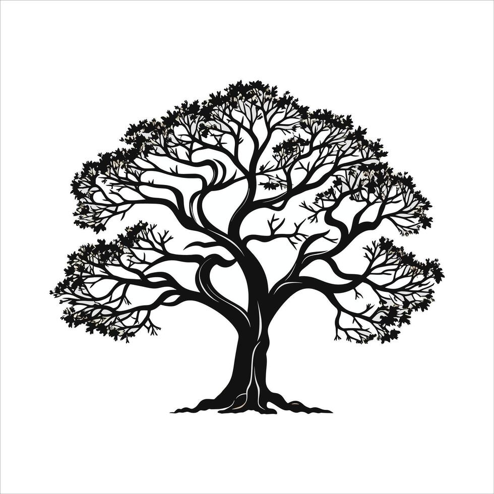 silhouette of big tree in summer on isolated white background Pro vector