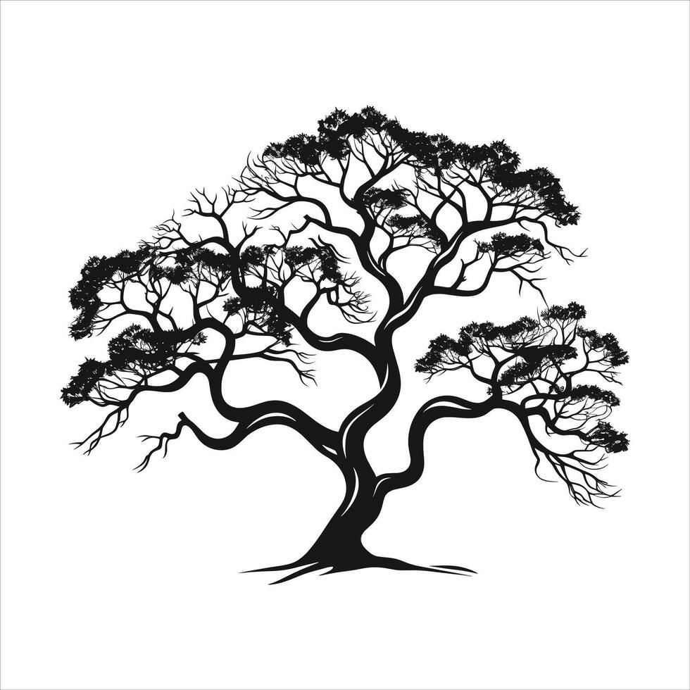 silhouette of big tree in summer on isolated white background Pro vector
