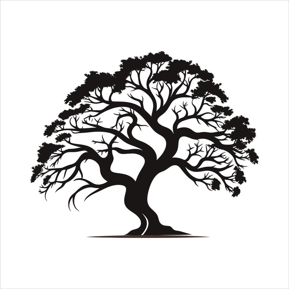 silhouette of big tree in summer on isolated white background Pro vector