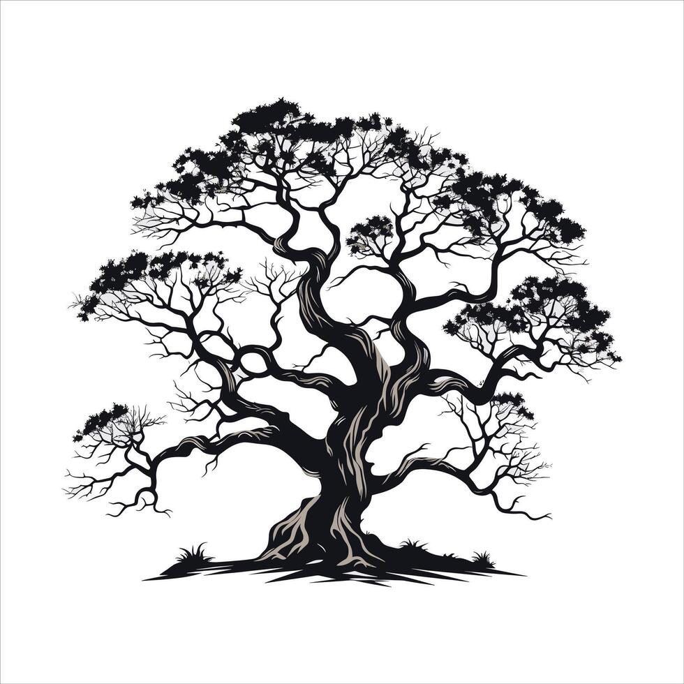 silhouette of big tree in summer on isolated white background Pro vector