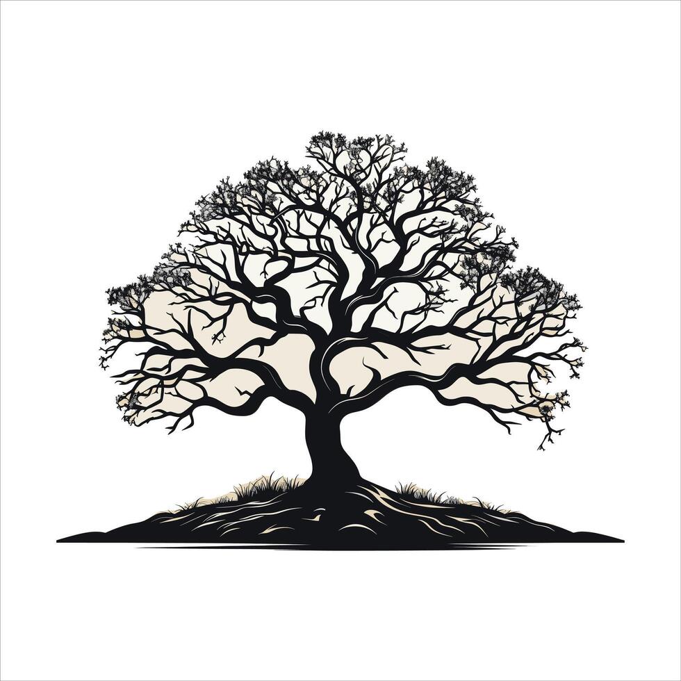 silhouette of big tree in summer on isolated white background Pro vector