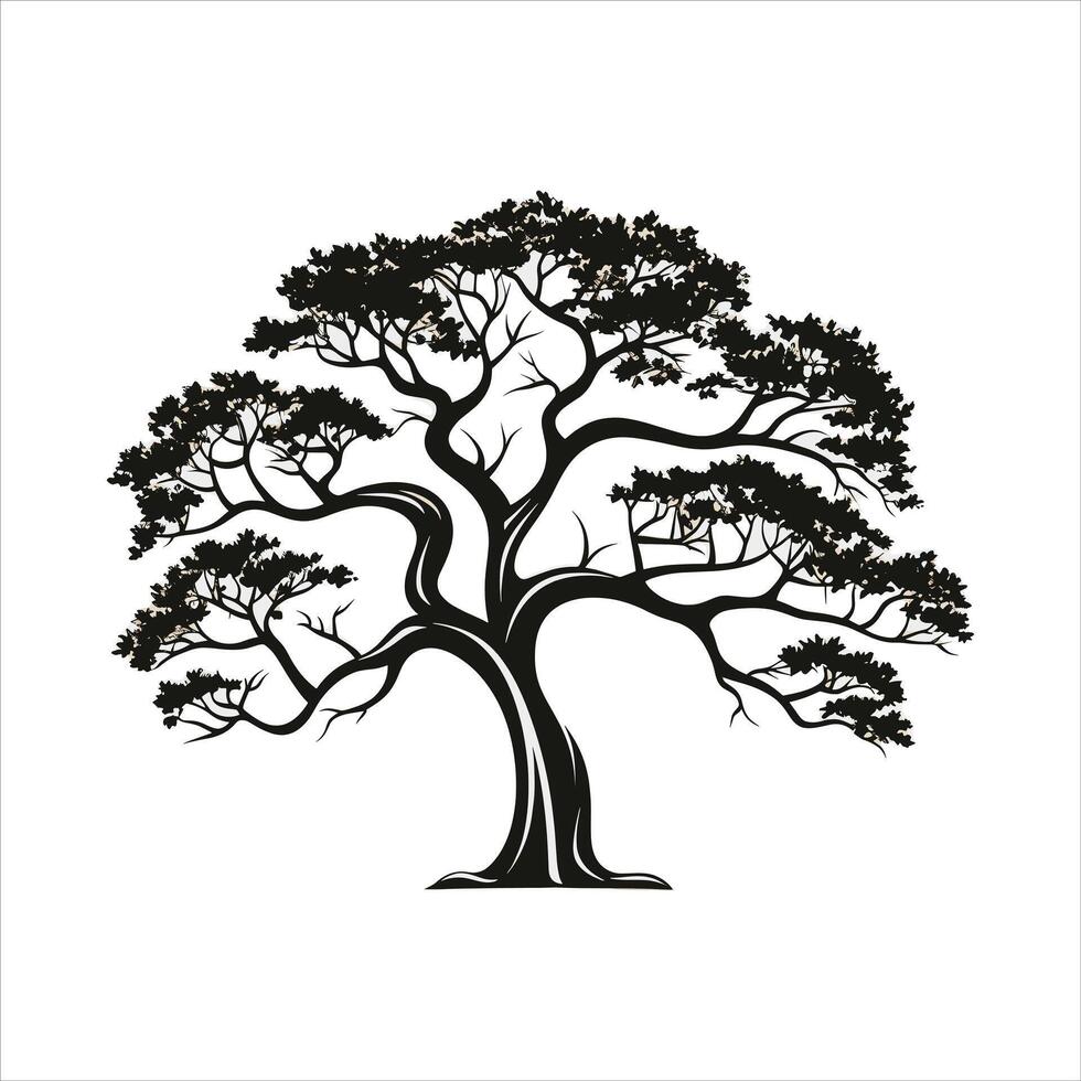silhouette of big tree in summer on isolated white background Pro vector