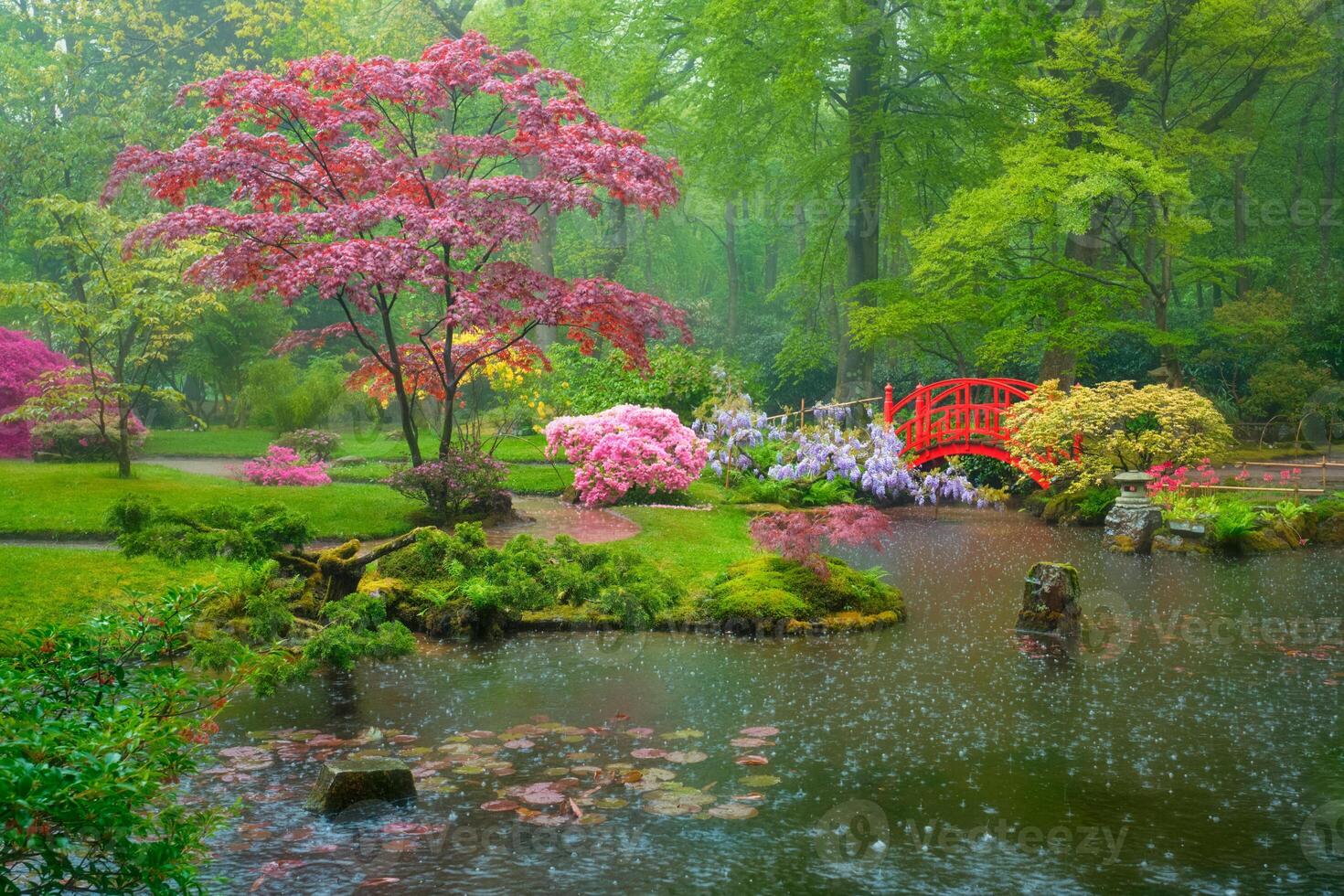 Japanese garden, Park Clingendael, The Hague, Netherlands photo
