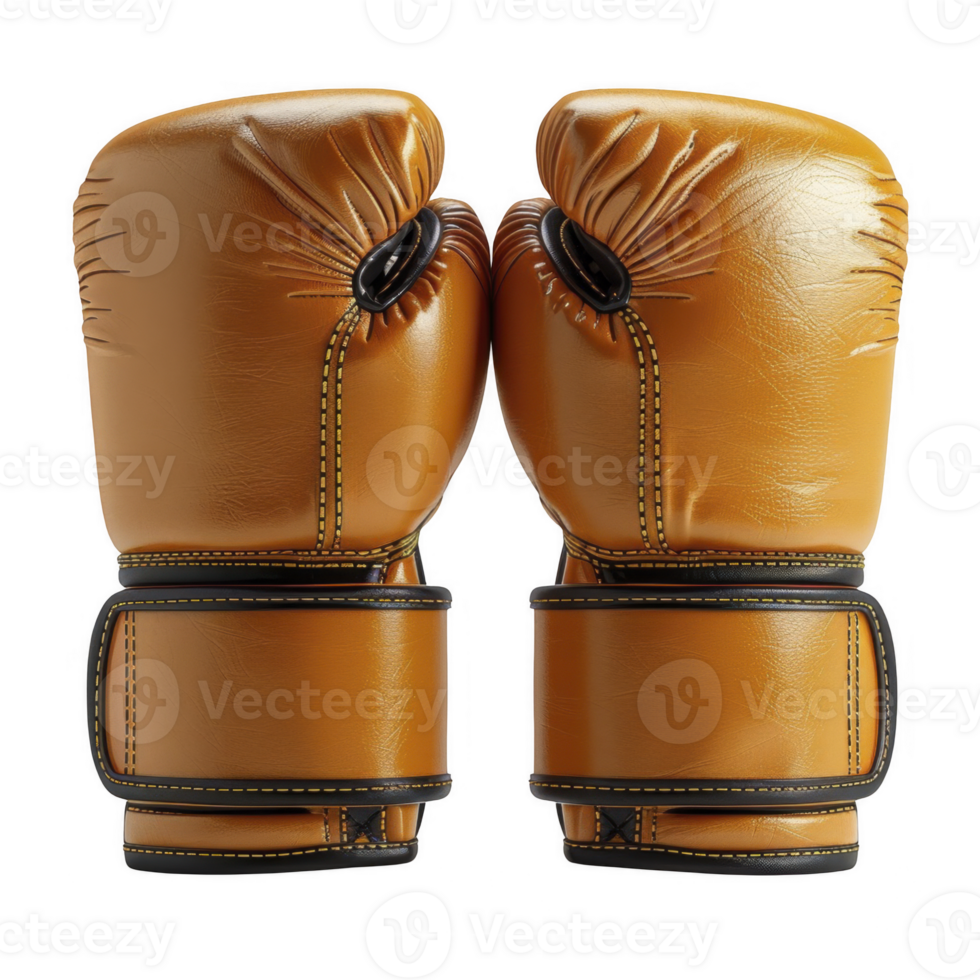 Boxing gloves isolated on transparent background png