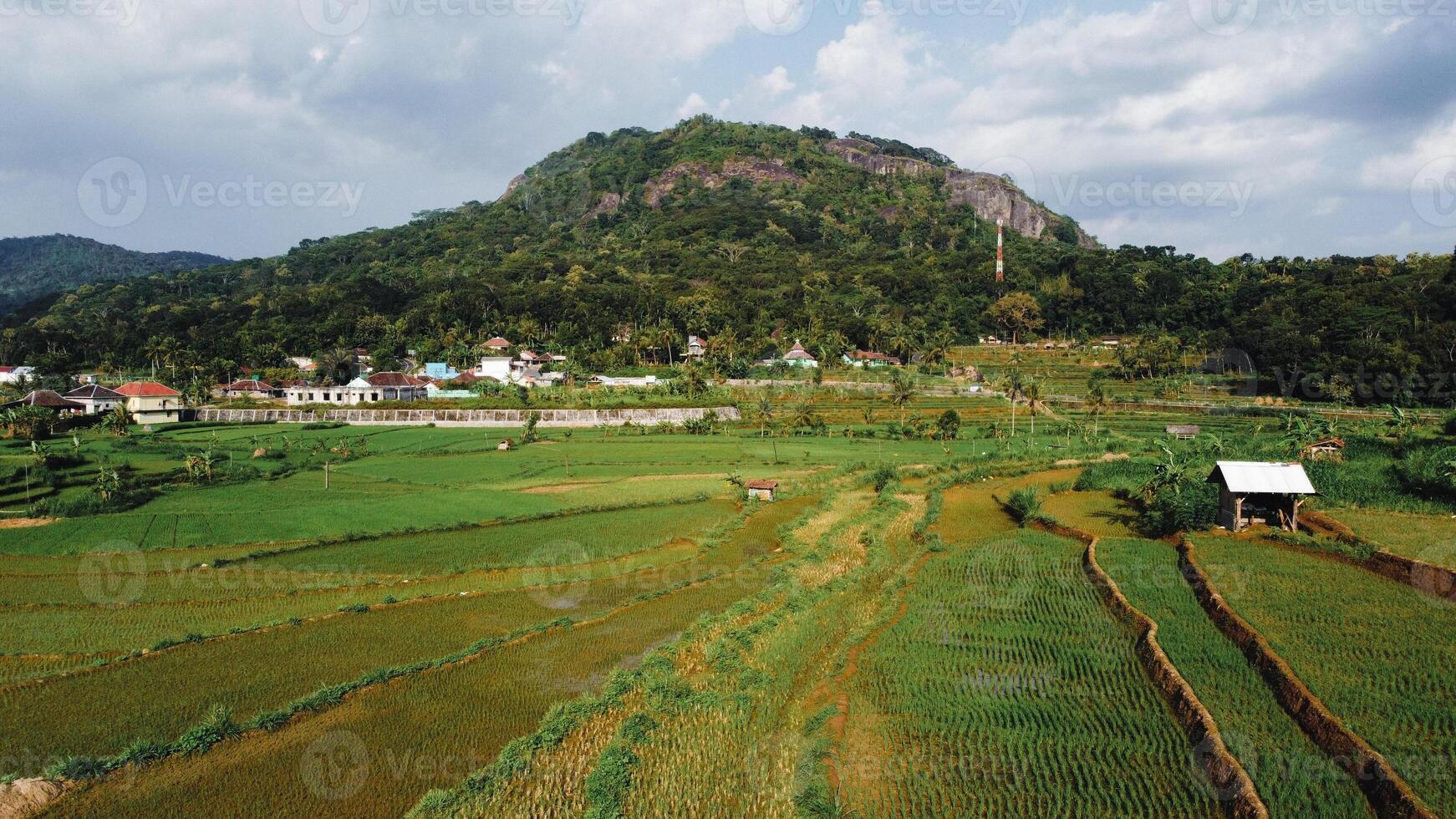 Panorama of the Nglanggeran Ancient Volcano ecotourism area in the afternoon using a drone. Aerial photo of an ancient stone hill covered with lush trees and surrounded by rice fields and countryside