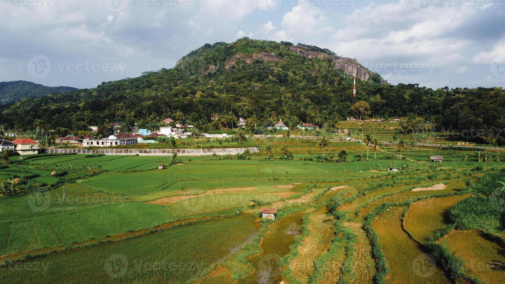 Panorama of the Nglanggeran Ancient Volcano ecotourism area in the afternoon using a drone. Aerial photo of an ancient stone hill covered with lush trees and surrounded by rice fields and countryside