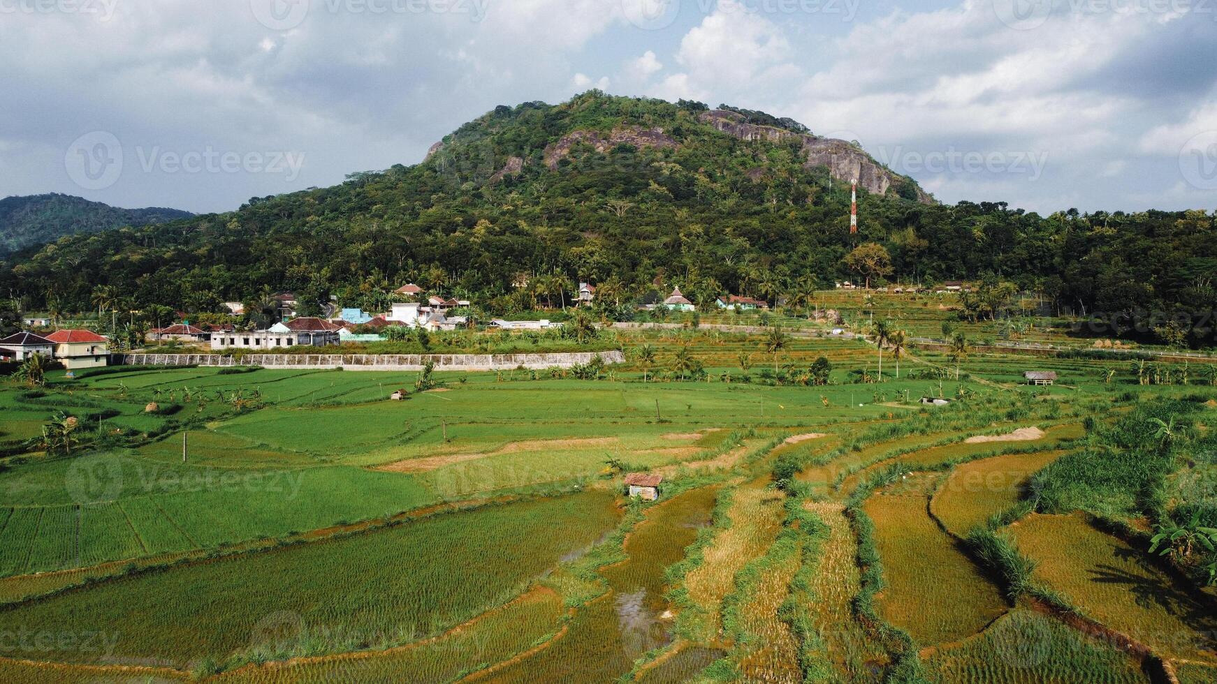 Panorama of the Nglanggeran Ancient Volcano ecotourism area in the afternoon using a drone. Aerial photo of an ancient stone hill covered with lush trees and surrounded by rice fields and countryside