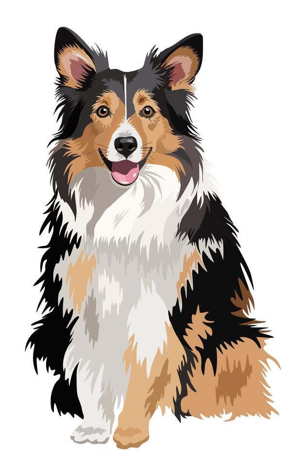 Collie dog. Cute fluffy pet. isolated illustation vector