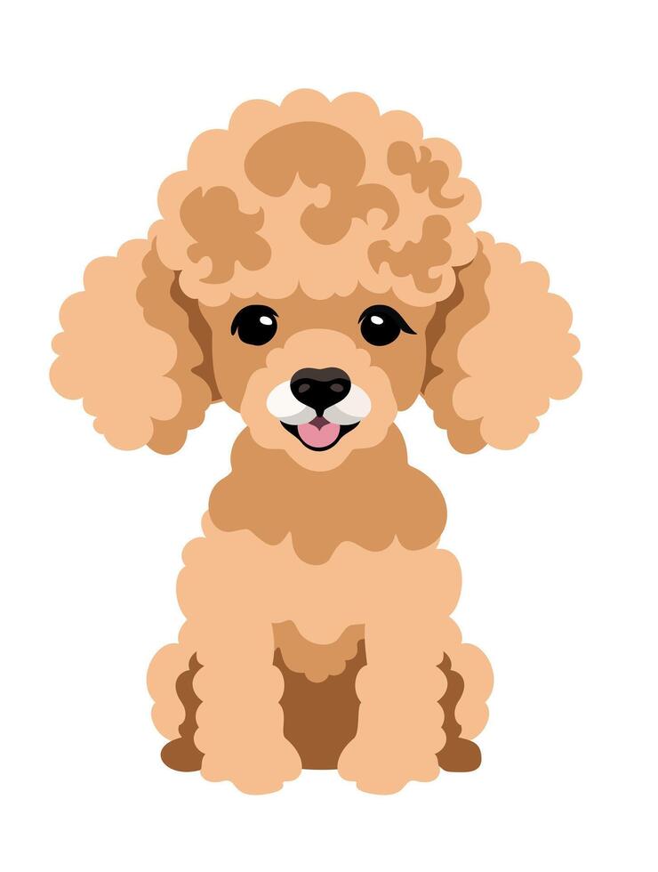 Cute peachy poodle puppy. isolated illustration vector