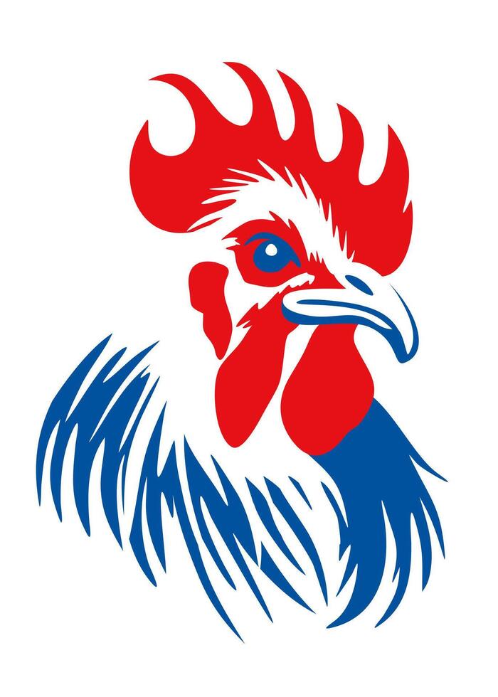 French rooster. illustration in colors of French flag isolated on white background vector