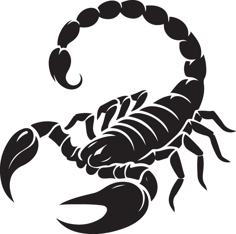Scorpion Silhouette on white background vector