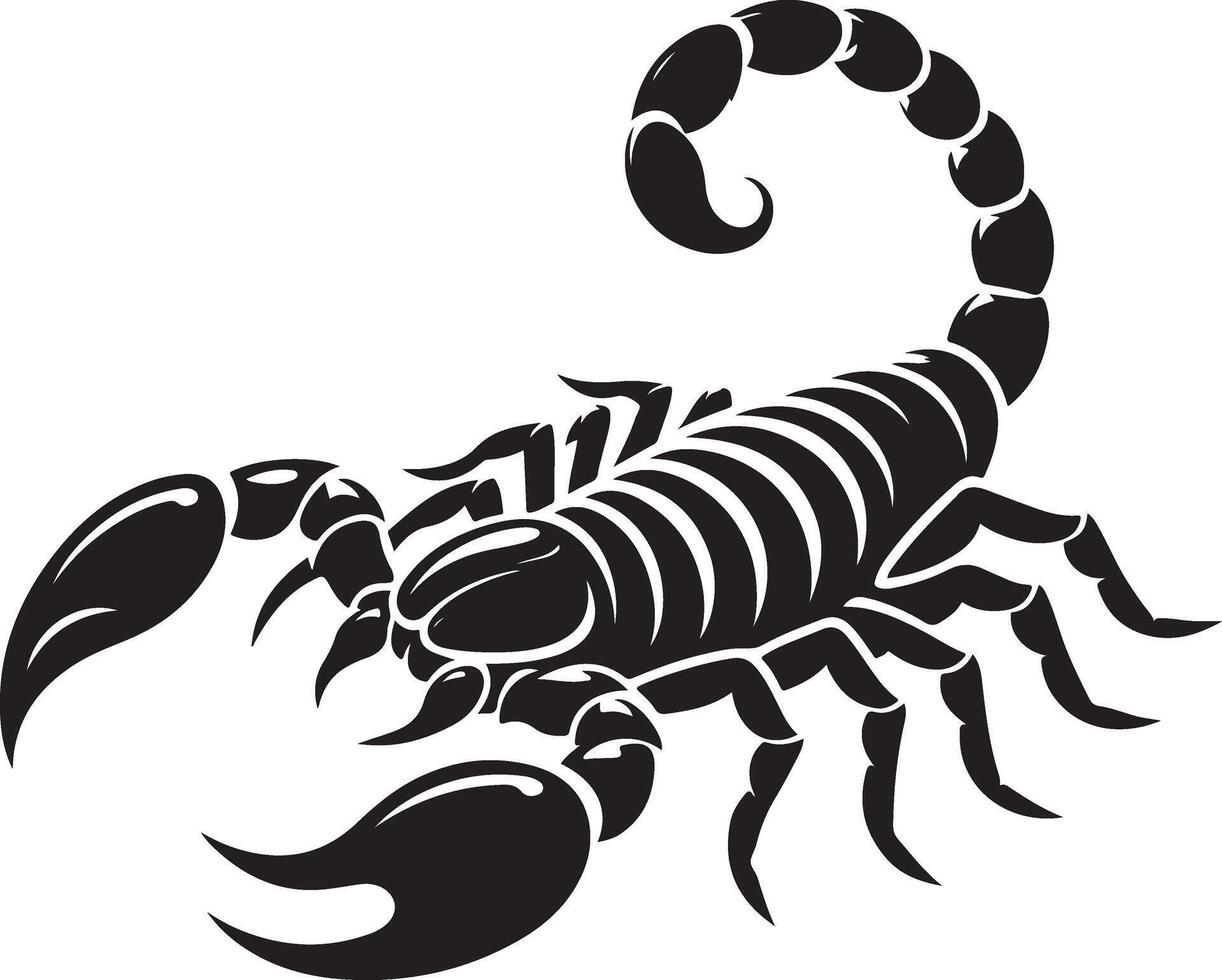 Scorpion Silhouette on white background vector