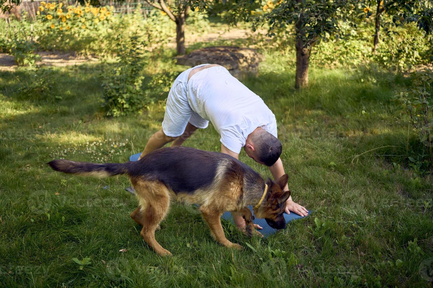 man does somatic exercises with his dog in the garden in the morning photo