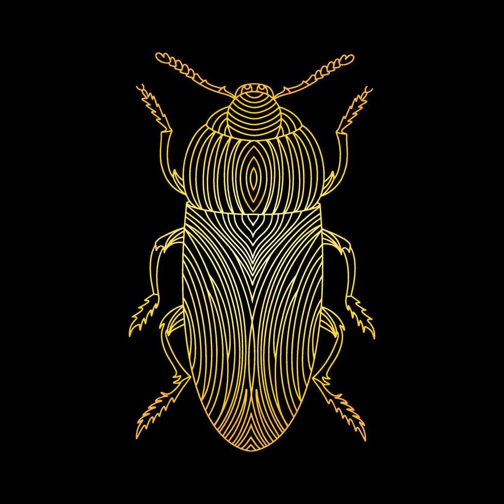 A golden beetle in a linear style. Linear illustration vector